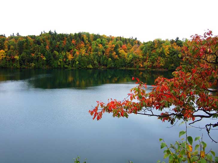 Autumn landscape photograph rendered as a hard two-tone duotone: a calm lake bordered by dense forest, a red-leaved branch in the foreground, deep green and warm red tones, quiet reflective mood.